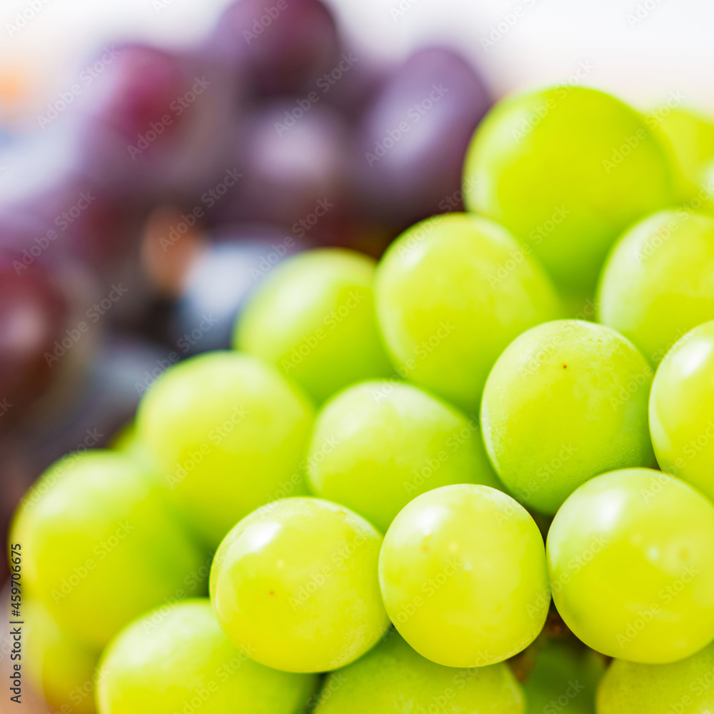 Shine Muscat Japanese favorite autumn fruits Shine Muscat Japanese favorite autumn fruits