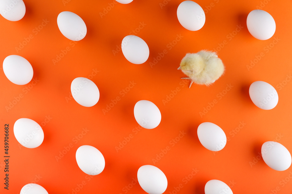 pattern with eggs and little chick on orange background top view pattern with eggs and little chick on orange background top view
