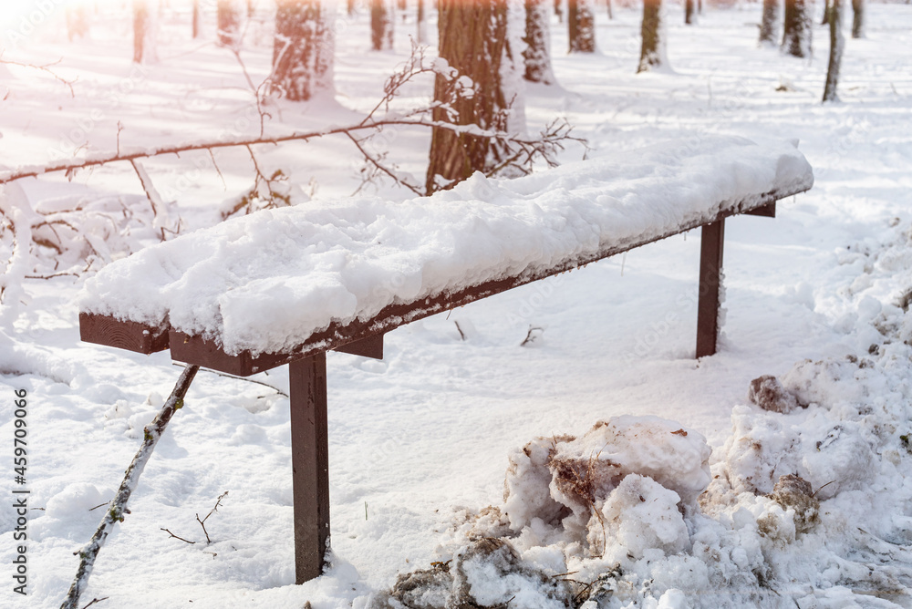 custom made wallpaper toronto digitalSnow-covered bench in the city snow-covered winter park. Moody winter scenery. Sunny day after snowfall