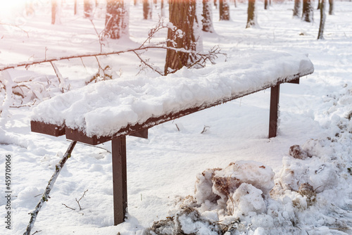 Wallpaper Mural Snow-covered bench in the city snow-covered winter park. Moody winter scenery. Sunny day after snowfall Torontodigital.ca