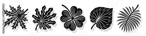 Set of vector black leaves silhouettes and shadow isolated on white background. Abstract cartoon leaf or foliage flat shape icon style. Design for logo, stencil or pattern artwork.