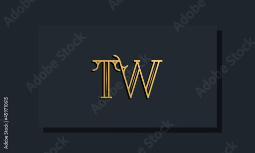 Minimal Inline style Initial TW logo.