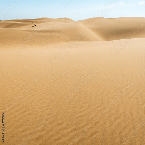 sand dunes in the desert as background