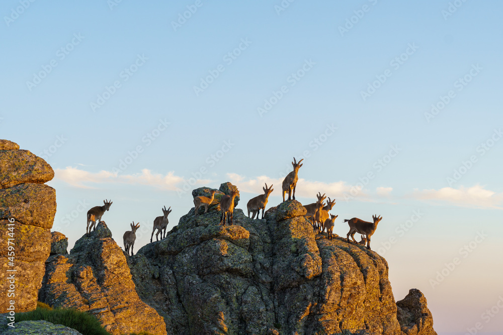 group of people on a rock