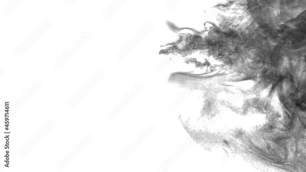 Fototapeta premium background smoke 