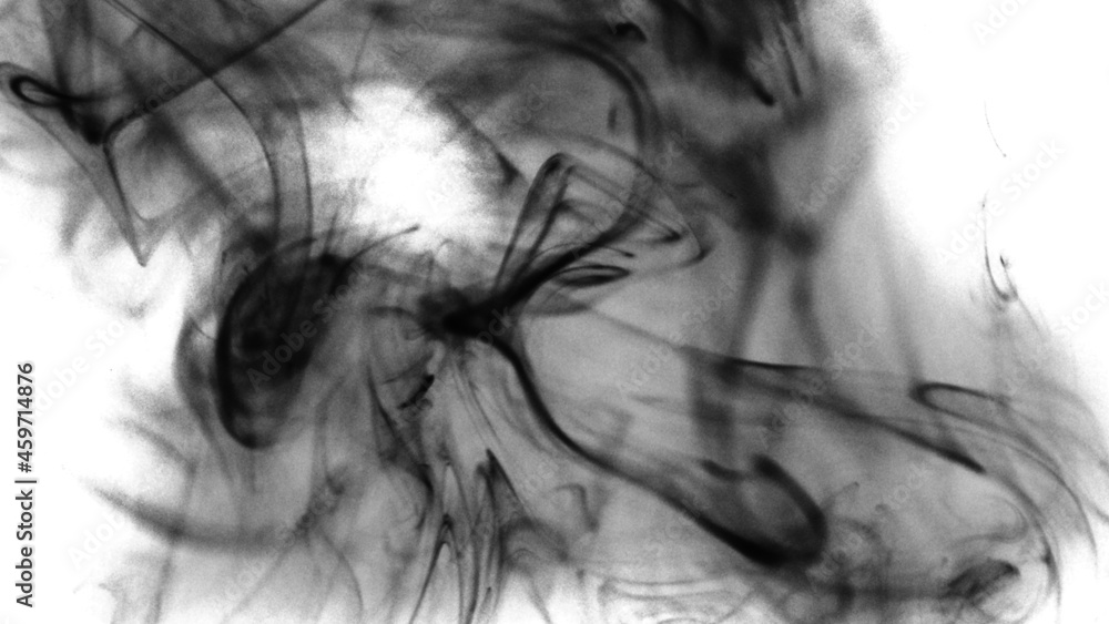Fototapeta premium background smoke 