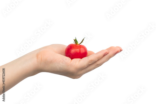 Small red cherry tomatoes in hand isolated on a white background