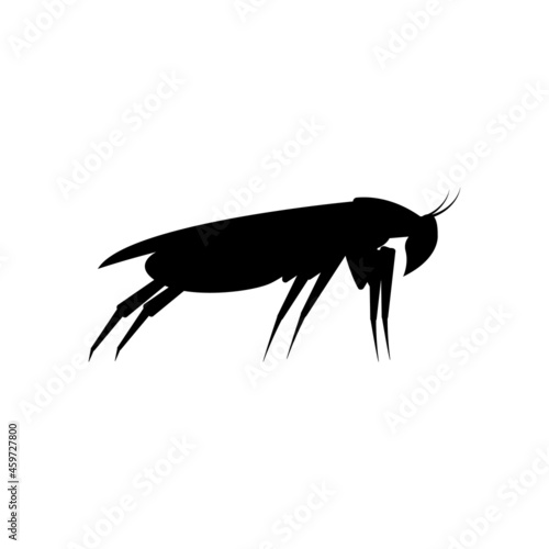 Black silhouette of a cockroach. Side view. Vector clipart and illustration on white background.