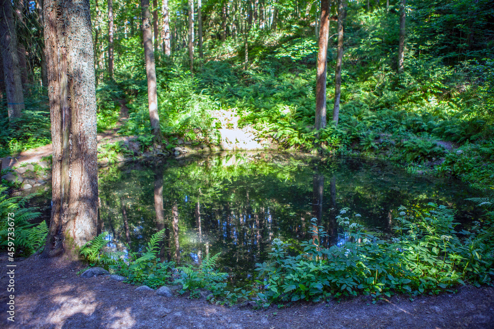 Obraz premium A picturesque round pond in the park of Villa Reno from the beginning of the 20th century. Ecological trail Komarovsky Bereg. Resort area. St. Petersburg. Russia