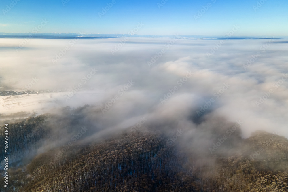 Aerial view of winter landscape with dark bare forest trees covered with dense fog.