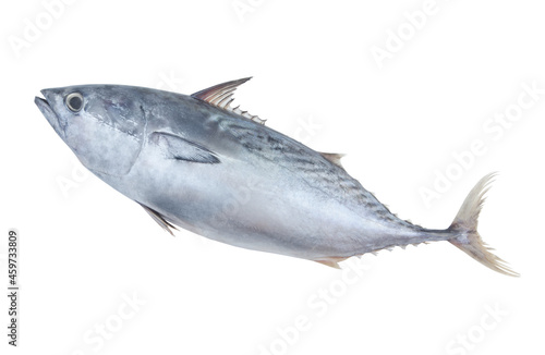 Raw tuna isolated on white background 