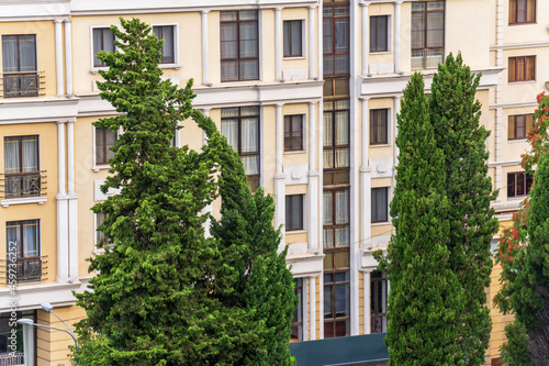 Fototapeta Naklejka Na Ścianę i Meble -  Cypresses on the background of the house