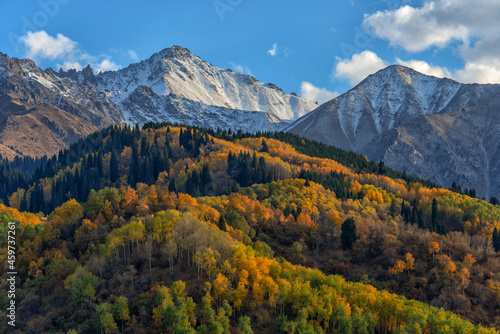 Mixed colorful autumn forest on the mountain slopes