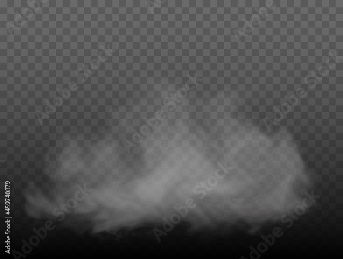Fog or smoke isolated transparent special effect. White vector cloudiness, mist or smog background. Vector illustration