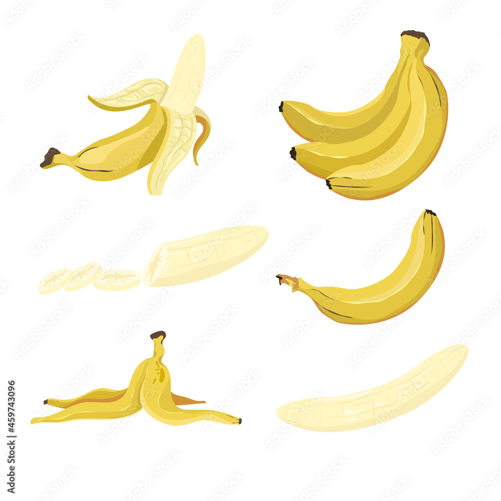 Yellow bananas vector illustration set. Tropical fruit, exotic plant, healthy natural dessert, whole and cut ripe bananas with and without peel isolated on white background. Food, nature concept