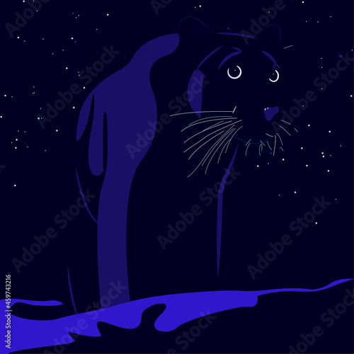 cat on the moon photo