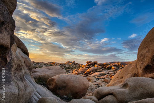 View from White Tank, Joshua Tree National Park
