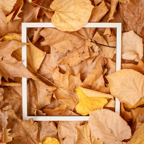 White frame set on colorful leaves. Minimalistic autumn concept. Creative idea.
