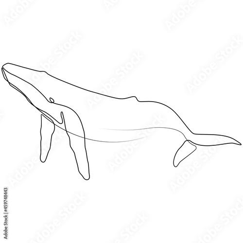 One line whale design silhouette. Hand drawn minimalism style vector illustration