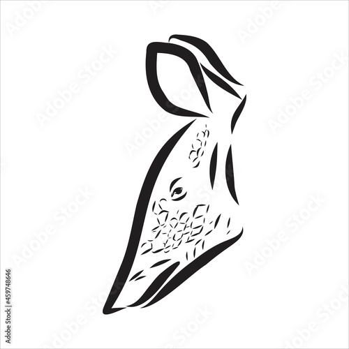 Armadillo parrot polygonal lines illustration. Abstract vector armadillo on the white background