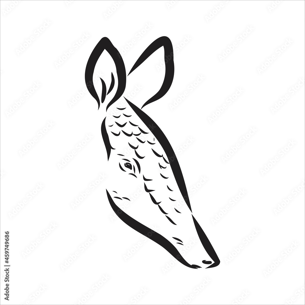 Armadillo parrot polygonal lines illustration. Abstract vector armadillo on the white background Armadillo parrot polygonal lines illustration. Abstract vector armadillo on the white background