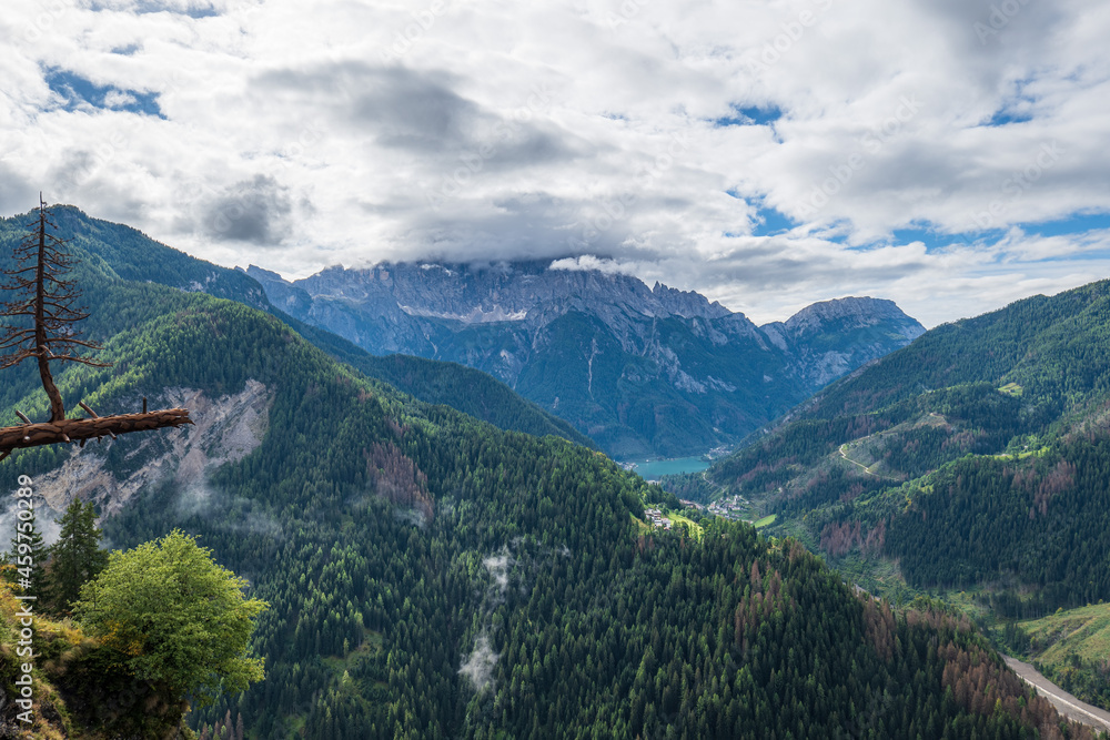 Waldschaden und Borkenkäferbefall nach Sturmschäden in der Dolomitenlandschaft