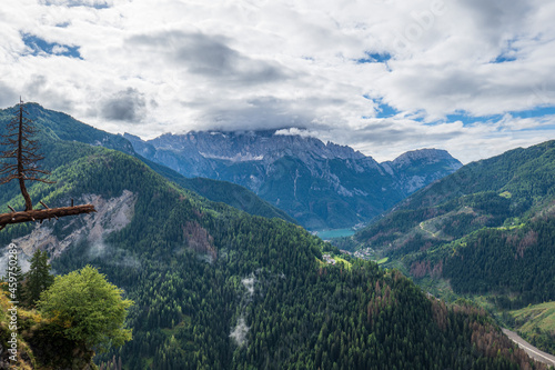 Waldschaden und Borkenk  ferbefall nach Sturmsch  den in der Dolomitenlandschaft