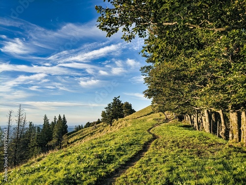 Hiking trail to the Schnebelhorn in the zurich oberland near fischenthal. Evening mood on a swiss hill. clouds blue sky photo