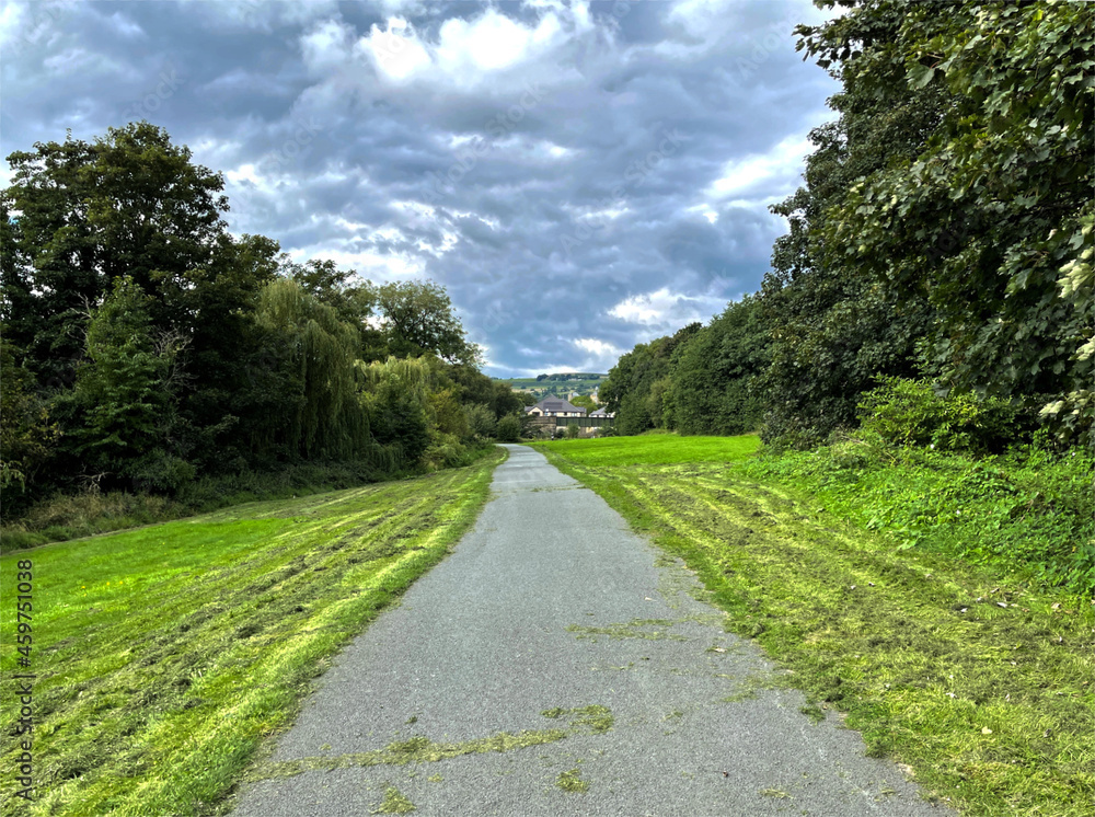 Cycle lane, as it passes through woodland, with Shipley in the distance near, Bradford, Yorkshire, UK