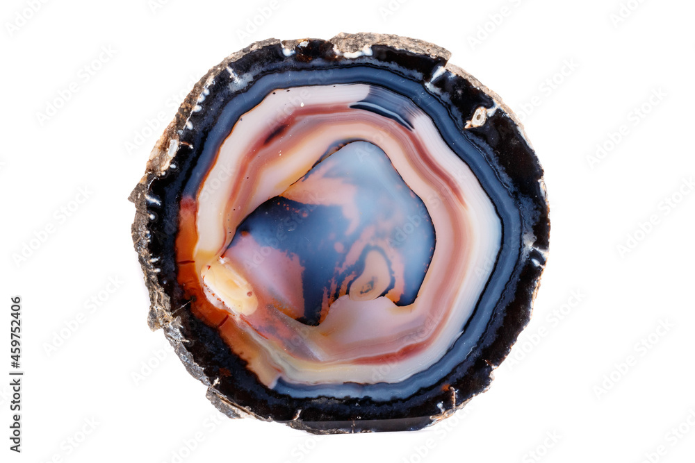 Macro mineral stone Yellow, brown Agate breed a white background close up Macro mineral stone Yellow, brown Agate breed a white background close up