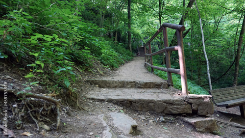 Stone steps with rusted handrail in woods