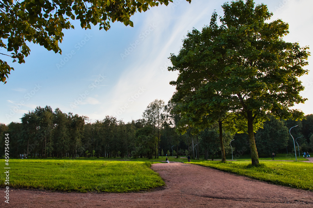 Obraz premium path in the park