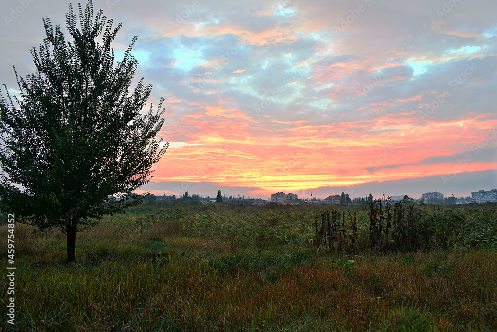 Landscape: beautiful sunset, meadow, tree, city. Landscape: beautiful sunset, meadow, tree, city.