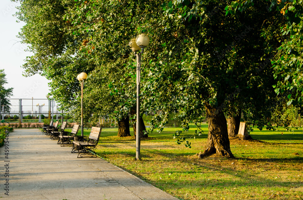 summer park, benches along the footpath, pedestrian alley