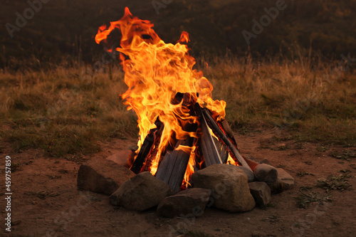 Beautiful bonfire with burning firewood outdoors at night. Camping season photo