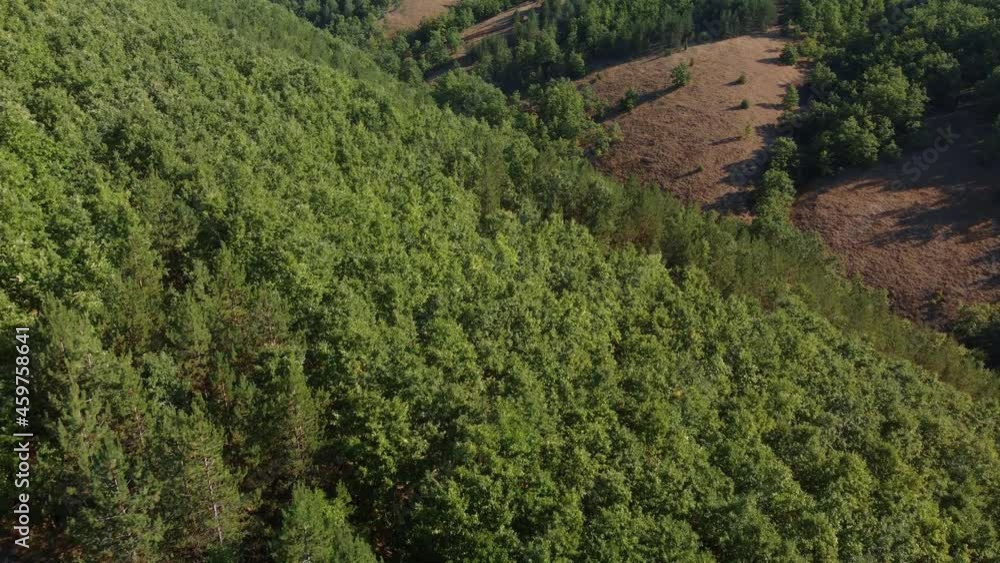 Drone flying over mountains and hills with pine tree forests and grassy fields, aerial footage of beautiful hillside nature Drone flying over mountains and hills with pine tree forests and grassy fields, aerial footage of beautiful hillside nature
