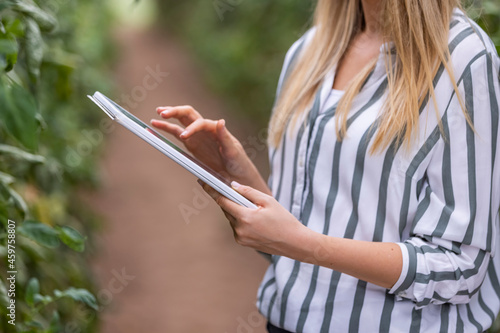 View of an attractive female farmer in a greenhouse using tablet. Female Farmer in greenhouse checking tomato plants. Compare the data in the tablet. Work on an organic farm.