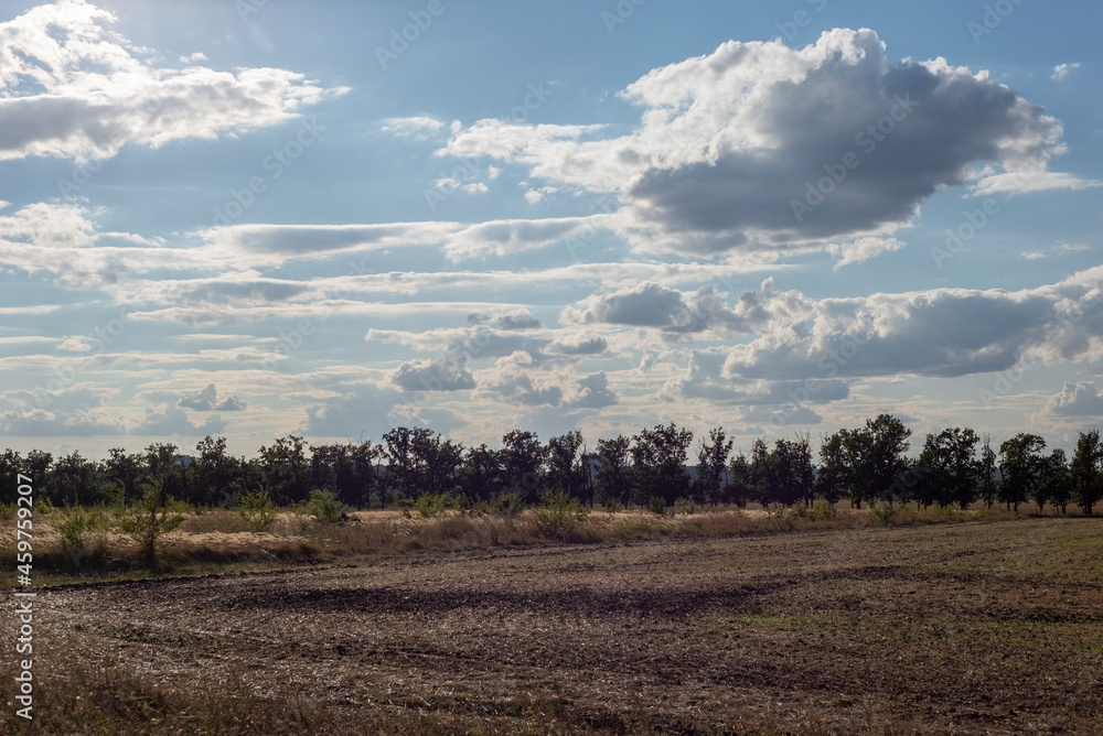 cloudy sky landscape fields with nature trees cloudy sky landscape fields with nature trees