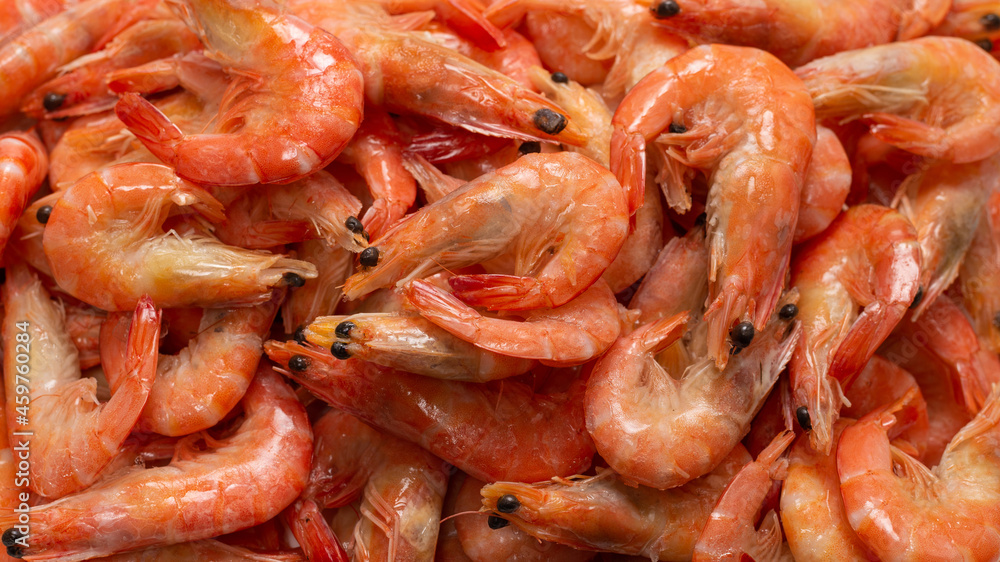 Shrimps background texture. A lot of shrimps. Cooked shrimps. Shrimps background texture. A lot of shrimps. Cooked shrimps.