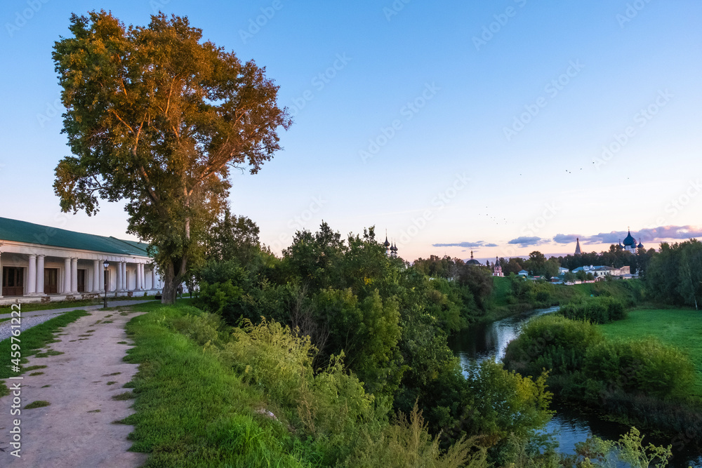 Evening landscape in the city of Suzdal with the Kamenka River and a tall tree.