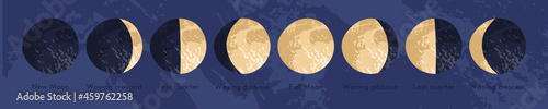 Moon phase, lunar cycle, synodic month. Lunary visible side. New and full moon, waxing and waning crescent, first and last quarter, gibbous. Astronomy, astrophysics. Vector flat cartoon illustration