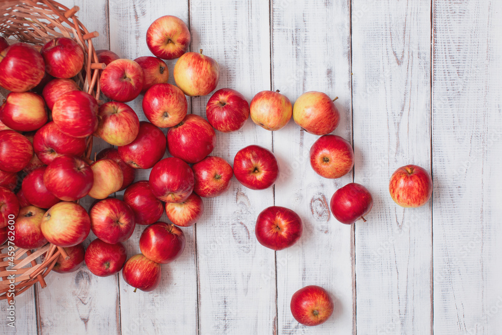 Rozsypane czerwone jabłka na starym drewnianym stole. Piękne, pyszne czerwony jabłka z sadu. - obrazy, fototapety, plakaty 