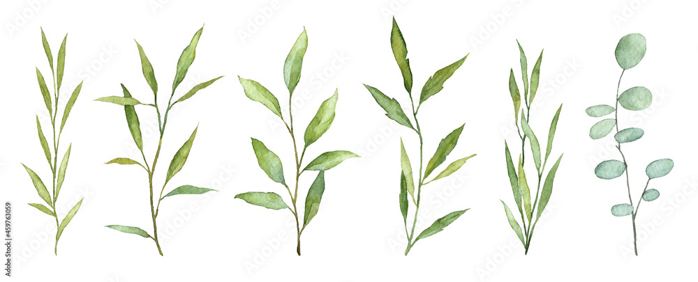 Fototapeta premium Set of hand painted watercolor botany isolated on white background. High resolution botanical collection. Scanned raster illustrations