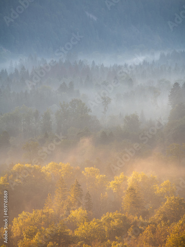 Beautiful morning with fog over the forests of the French Jura with autumn colors.