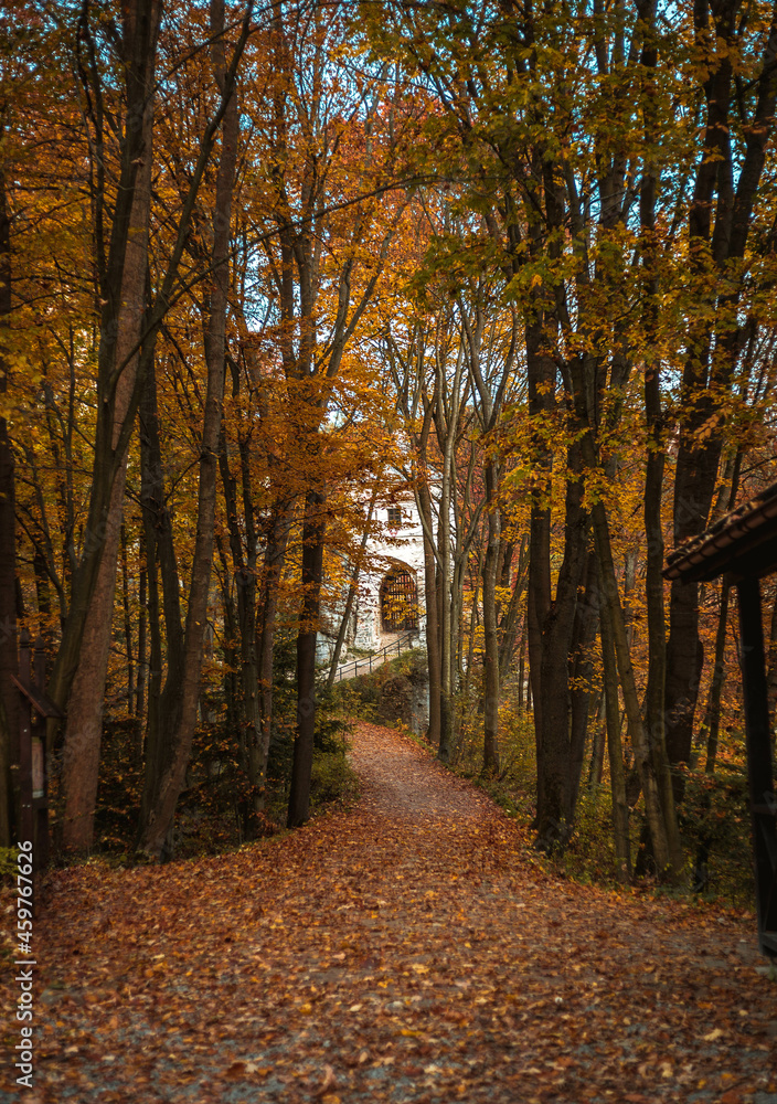 Magical footpath in orange autumn park