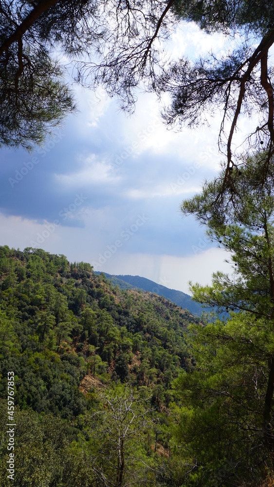nature, landscape, mountain, sky, forest, road, tree, path, mountains, green, summer, grass, rock, trees, hill, travel, river, cloud, water, clouds, hiking, view, park, valley, rural nature, landscape, mountain, sky, forest, road, tree, path, mountains, green, summer, grass, rock, trees, hill, travel, river, cloud, water, clouds, hiking, view, park, valley, rural