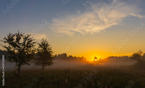 Misty sunrise in the meadow