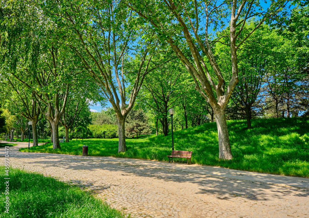 Public and natural park land in Bursa Botanical Park with gravel and cobblestone walking path with wooden bench and green area. Public and natural park land in Bursa Botanical Park with gravel and cobblestone walking path with wooden bench and green area.
