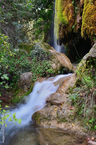 stream in the forest