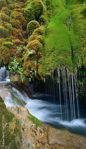waterfall in the forest